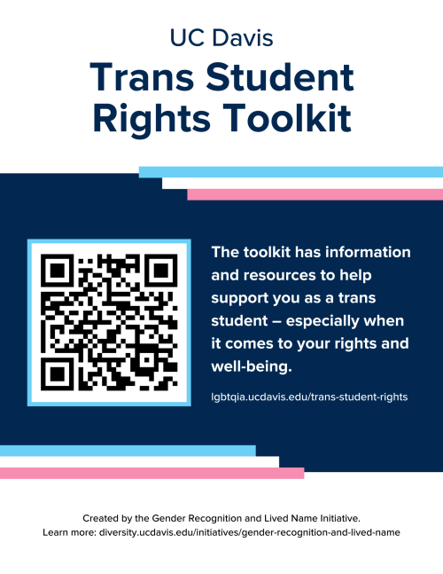 Trans Toolkit Flyer