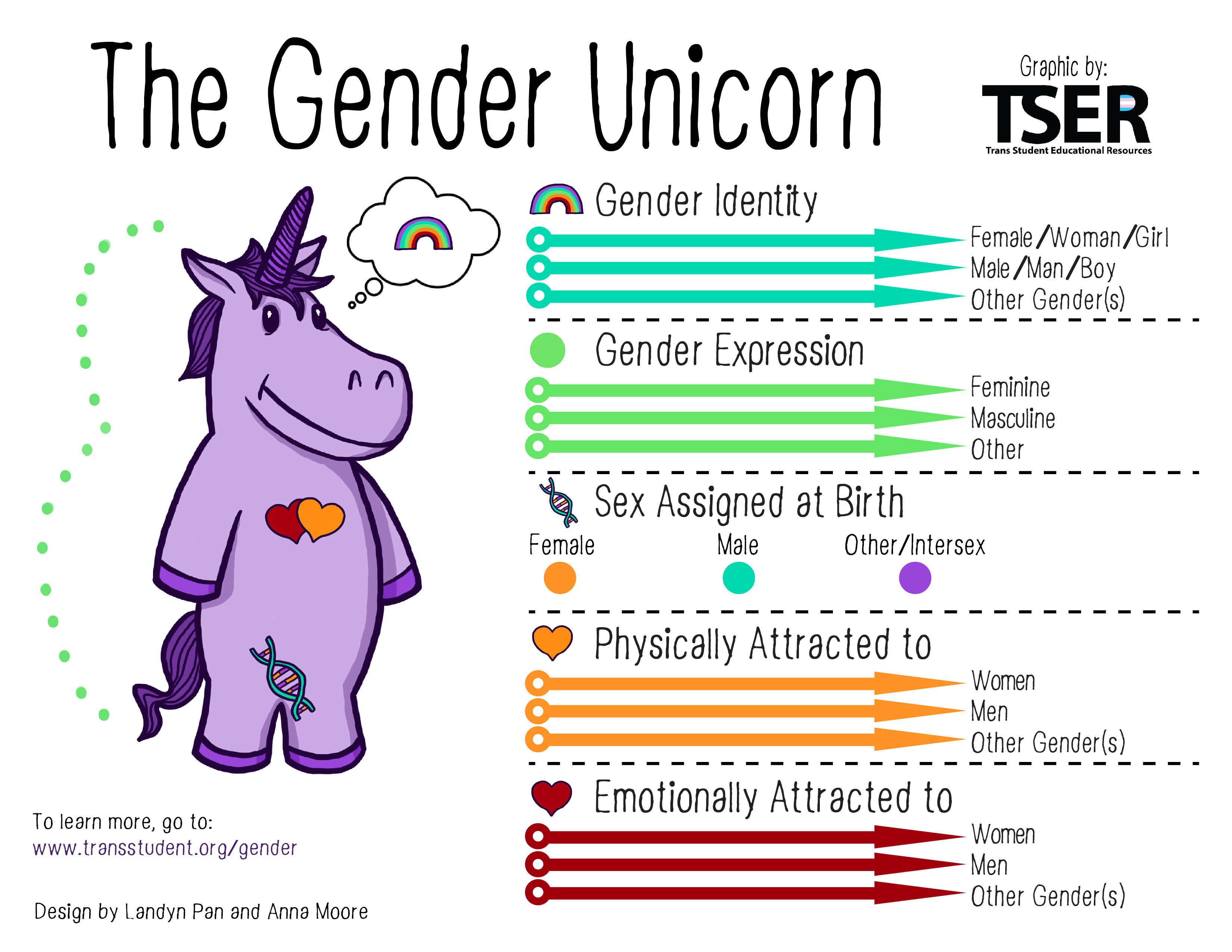 Gender Unicorn Graphic - Shows Gender Identity, Gender Expression, Physical Attraction and Emotional Attraction as a spectrum. Sex is broken down into Female, Male, Intersex/Other.