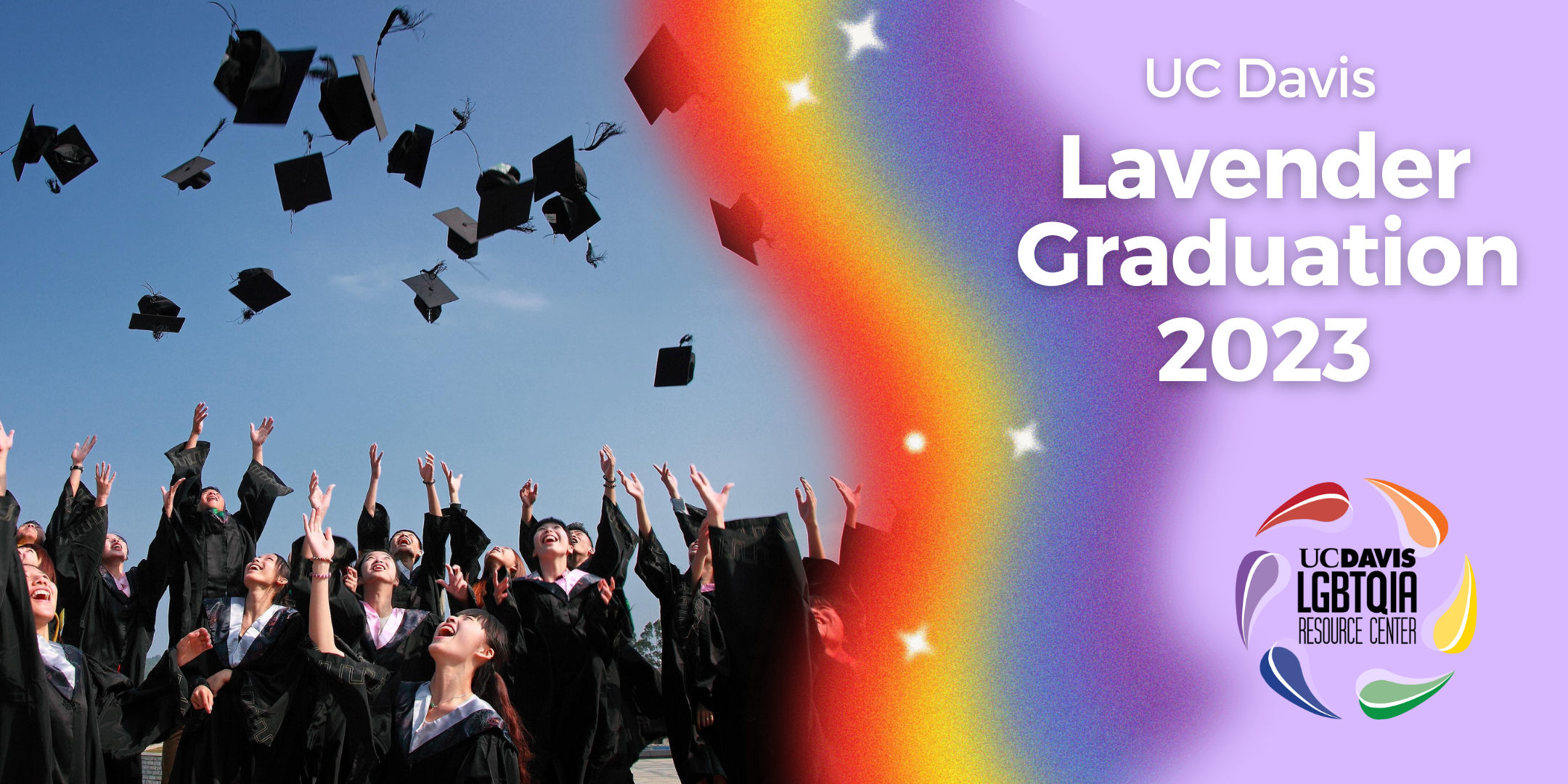Lavender Graduation